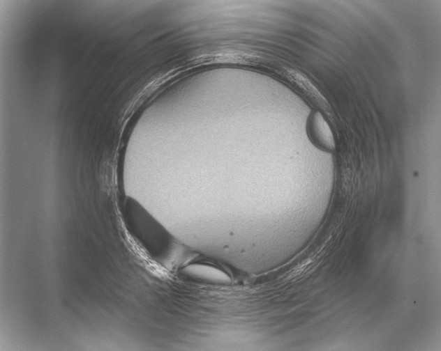 X0000067840938200605041646