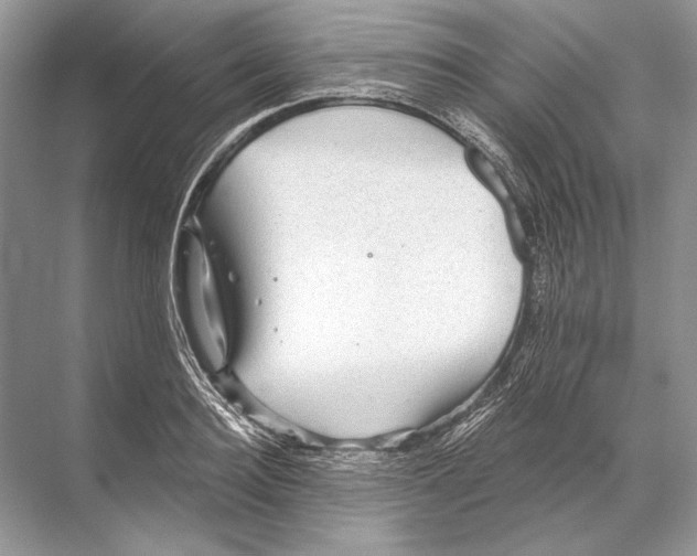 X0000067840940200605041646