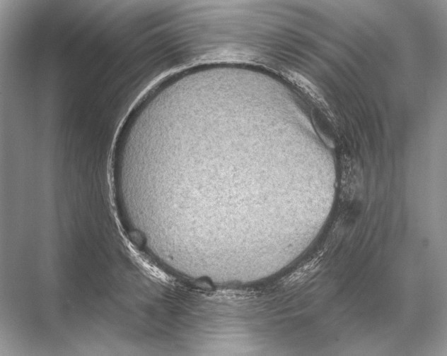 X0000067840942200605041646