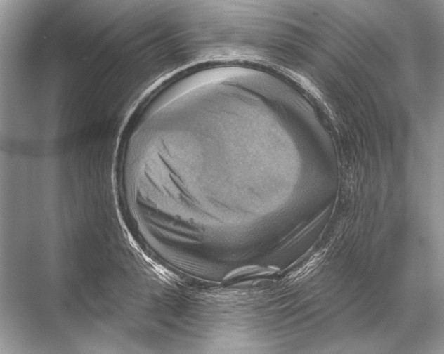 X0000067840943200605041646