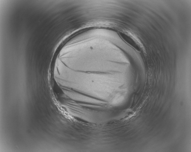 X0000067840944200605041646