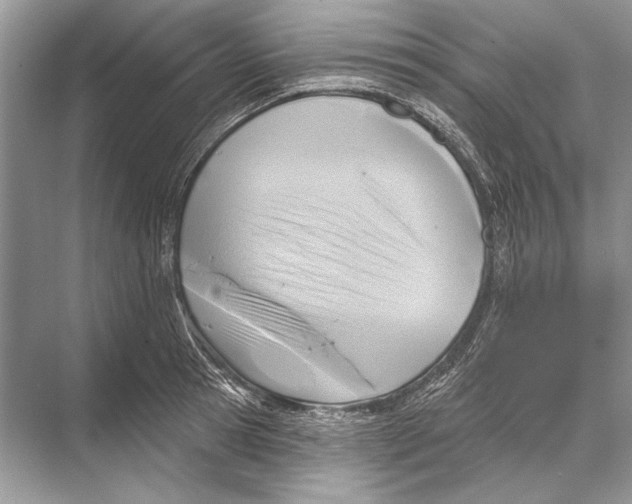 X0000067840945200605041646