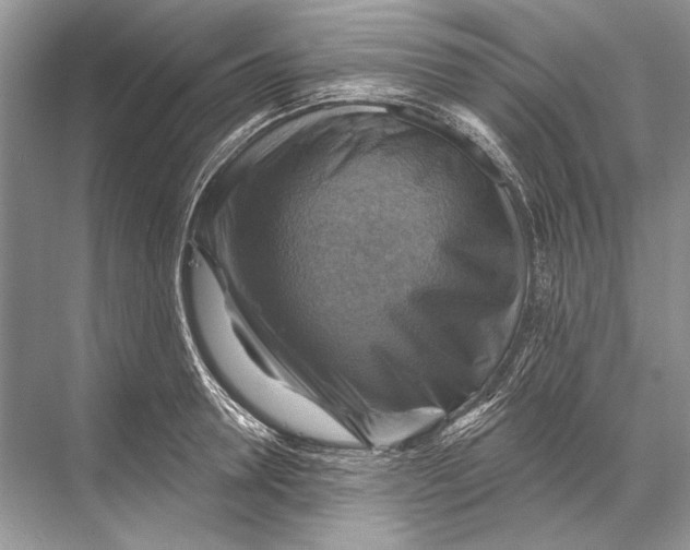 X0000067840946200605041646