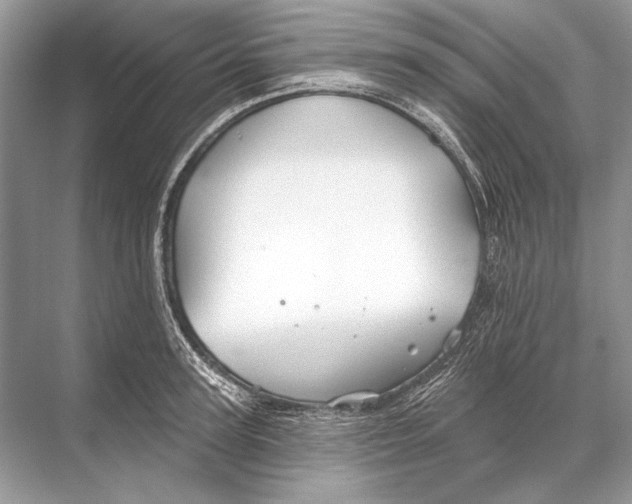 X0000067840947200605041646