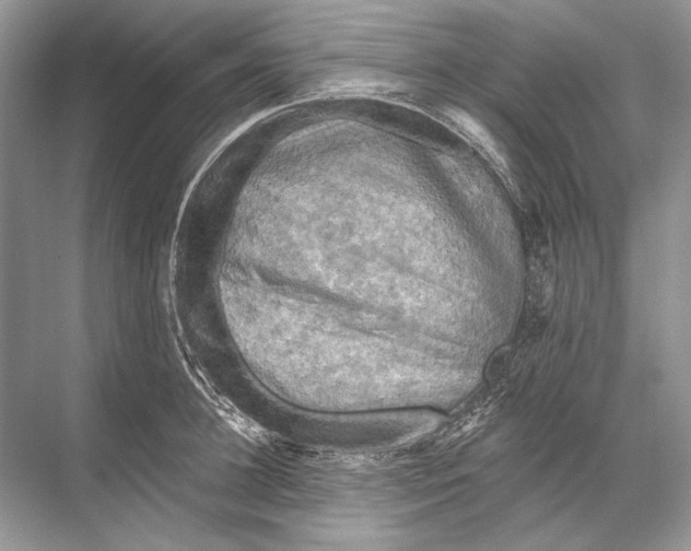 X0000067840948200605041646