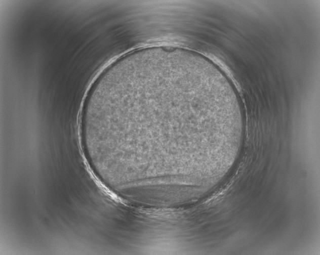 X0000067840949200605041646