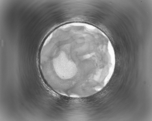 X0000067840950200605041646