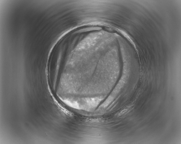 X0000067840951200605041646