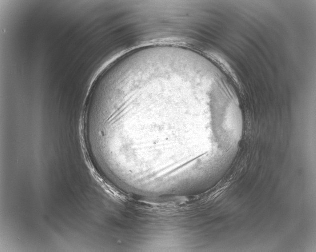 X0000067840952200605041646