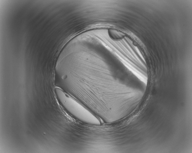 X0000067840953200605041646