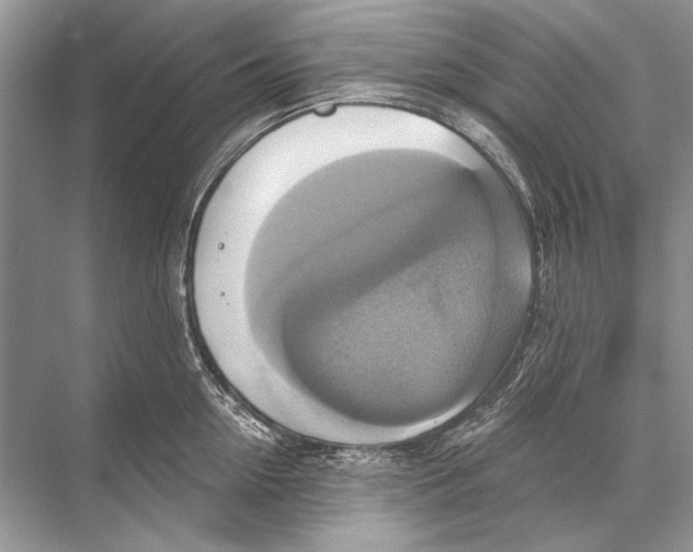 X0000067840954200605041646