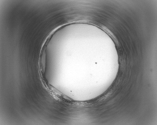 X0000067840956200605041646