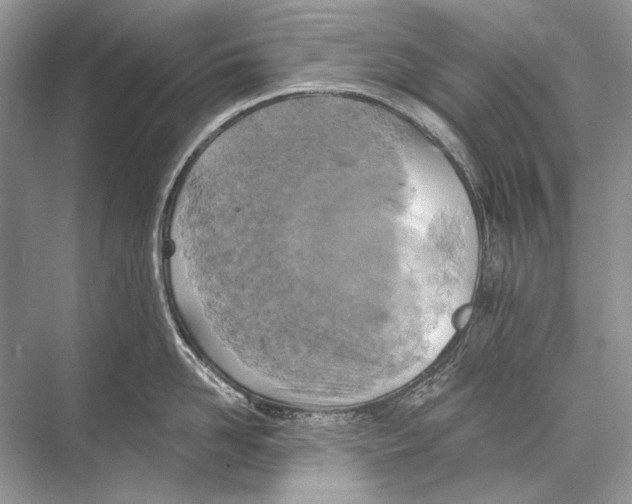 X0000067840958200605041646