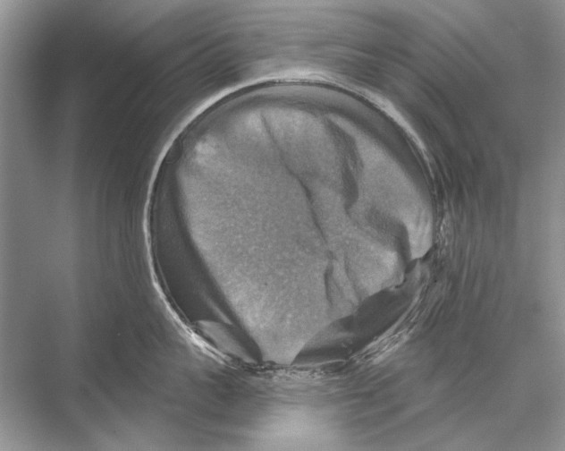 X0000067840959200605041646