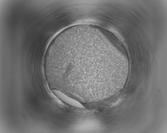 X0000067840960200605041646