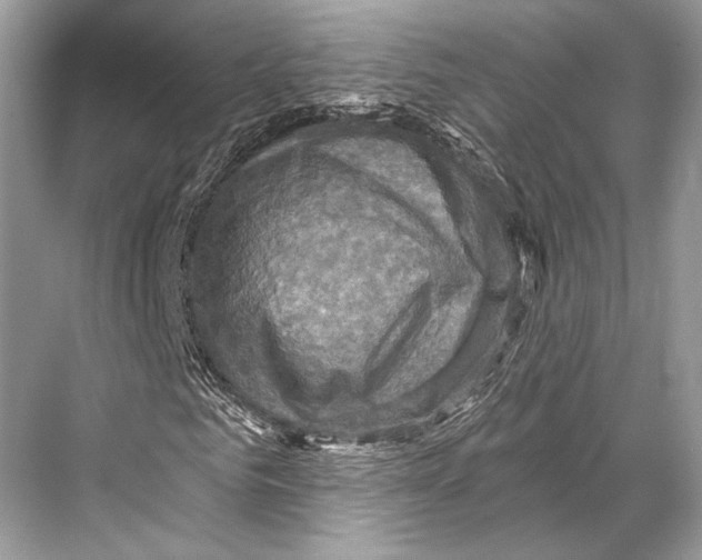 X0000067840961200605041645