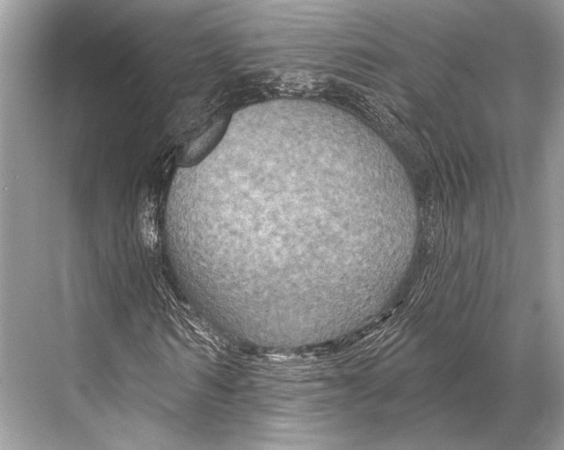 X0000067840962200605041645