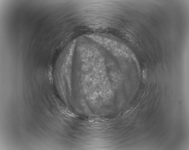 X0000067840963200605041645