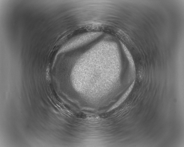 X0000067840964200605041645