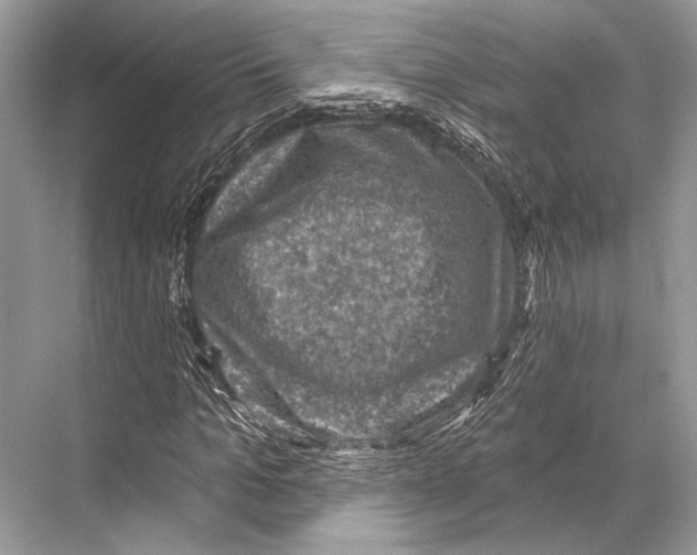 X0000067840965200605041645