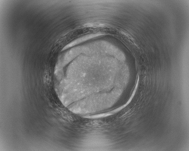 X0000067840966200605041645