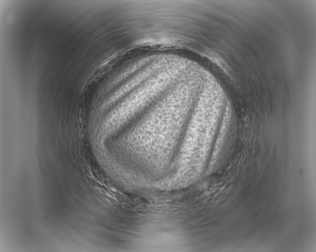 X0000067840967200605041645