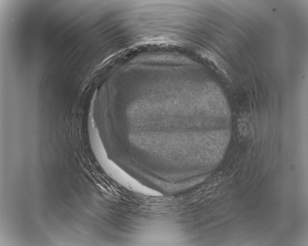 X0000067840968200605041645