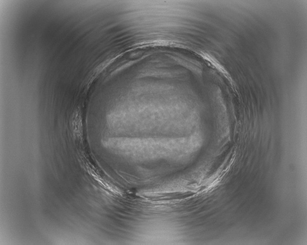 X0000067840969200605041645