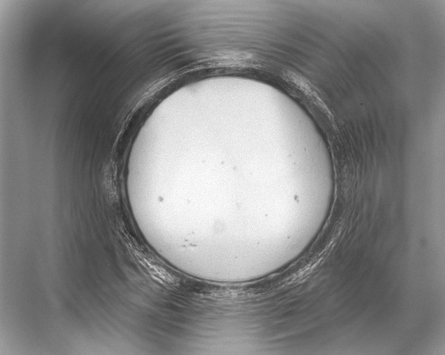 X0000067840970200605041645