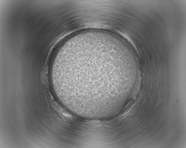 X0000067840971200605041645