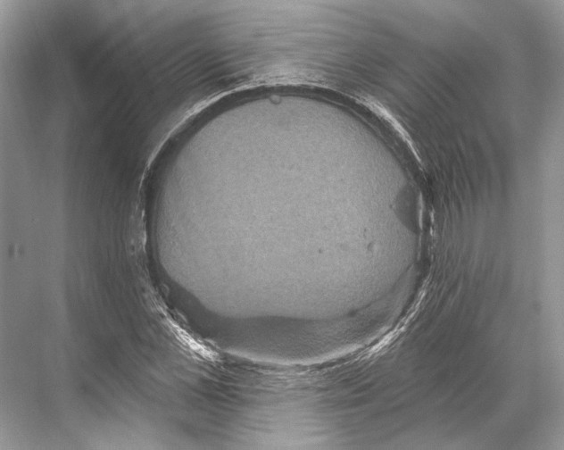 X0000067840973200605041645