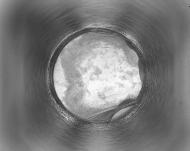 X0000067840976200605041645