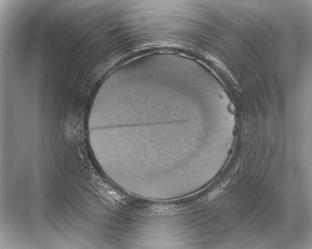 X0000067840977200605041645