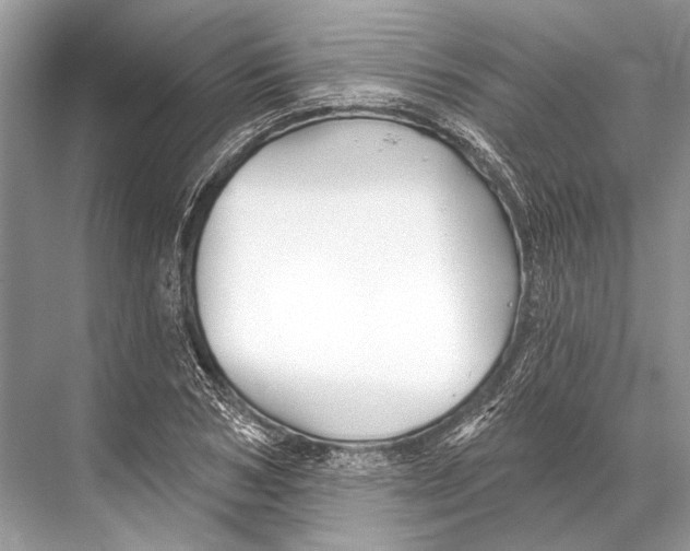 X0000067840978200605041645