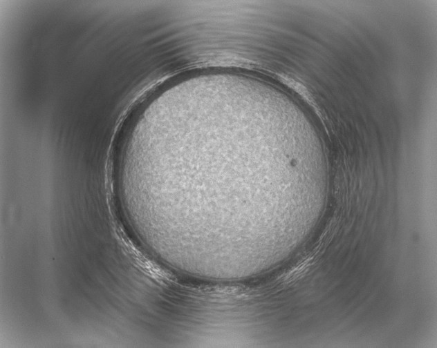 X0000067840979200605041645