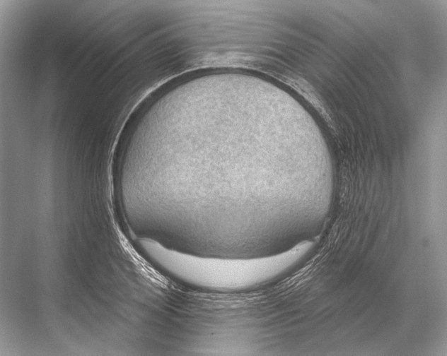 X0000067840980200605041645