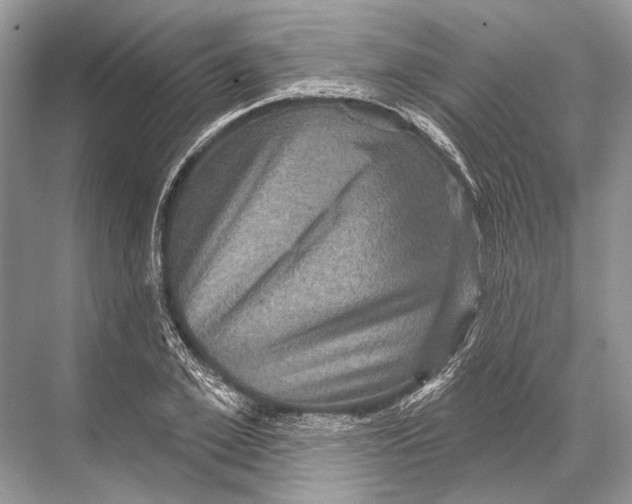 X0000067840981200605041645