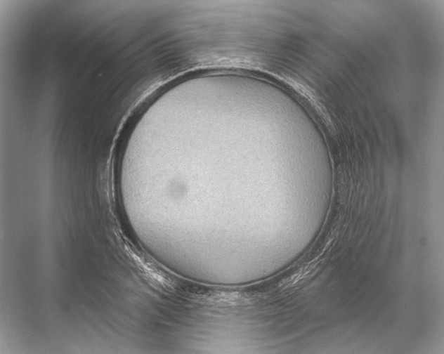 X0000067840982200605041645