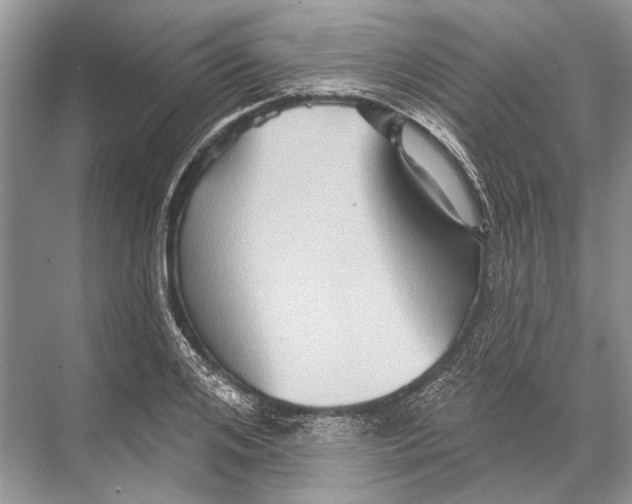 X0000067840984200605041645