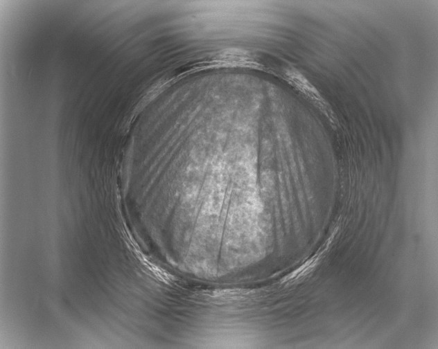 X0000067840985200605041645