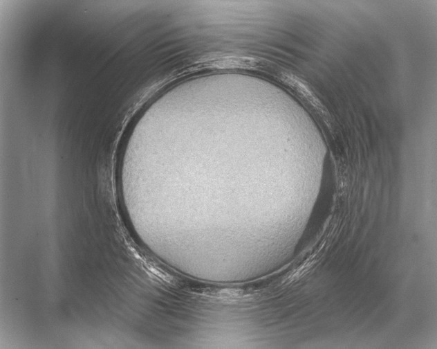 X0000067840986200605041645