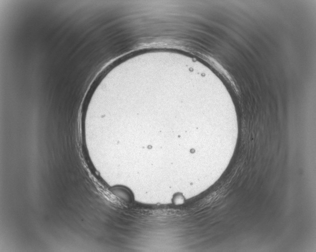 X0000067840988200605041645