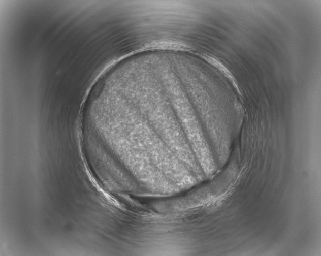 X0000067840989200605041645