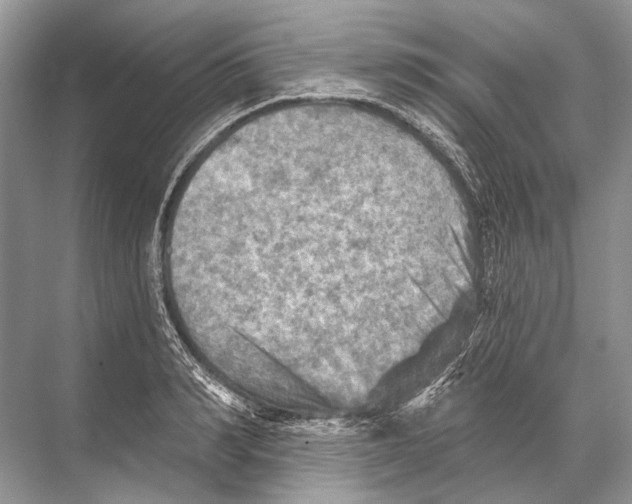 X0000067840990200605041645