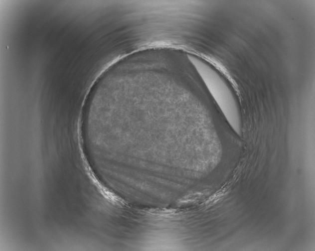 X0000067840991200605041645