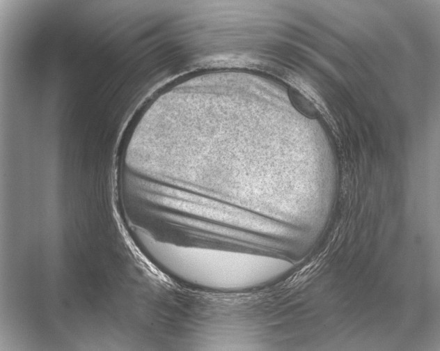 X0000067840992200605041645