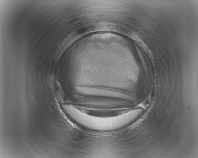 X0000067840993200605041645