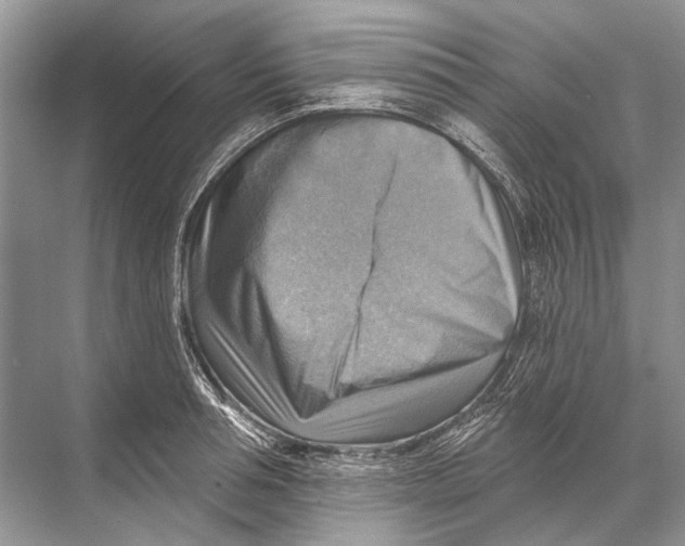 X0000067840994200605041645