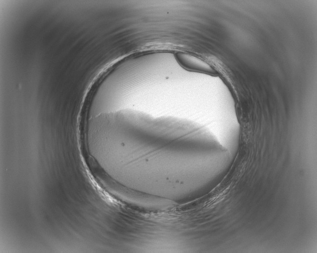 X0000067840995200605041645