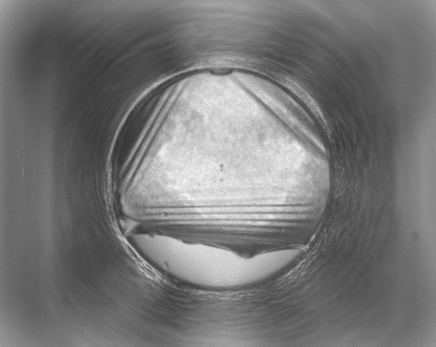 X0000067840996200605041644